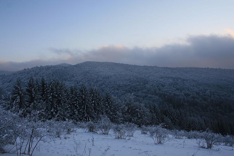 Bieszczady 12.2007 066